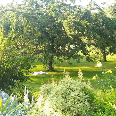 Gite Le Clos D'Olon 4 Etoiles Avec Piscine Charnecles Exterior foto