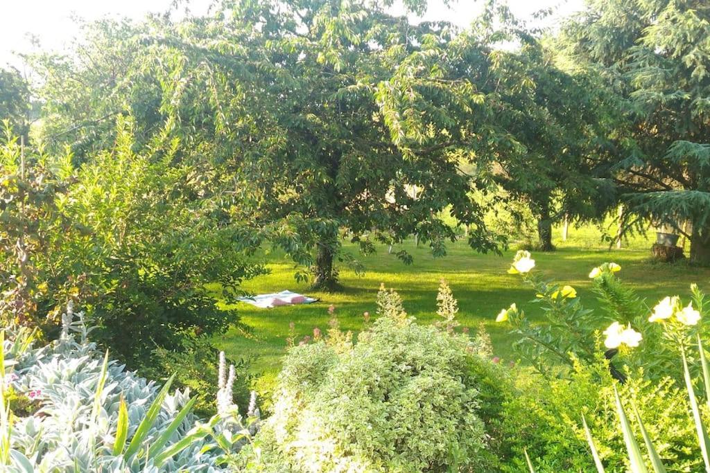 Le Clos D'olon 4 Etoiles Avec Piscine Apartment Charnecles